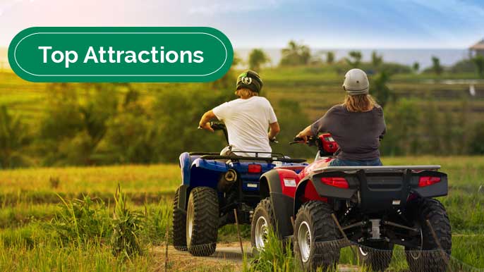 Bali Quad Adventure with Ubud Monkey Forest